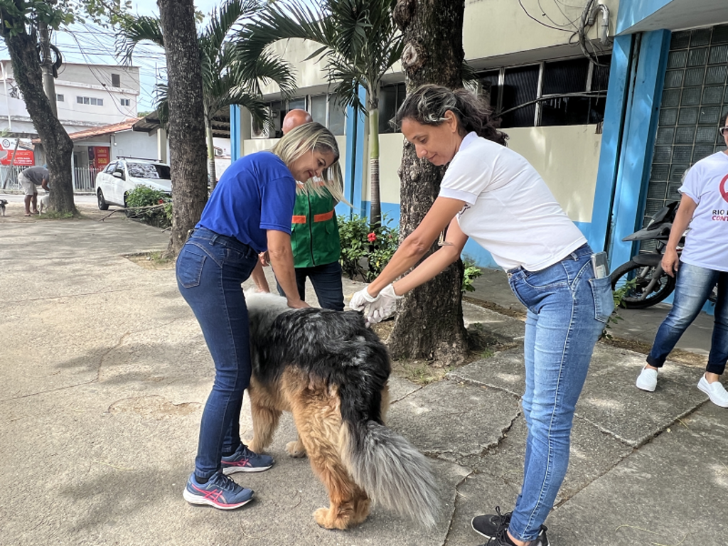 2ª Etapa da Vacinação Antirrábica Animal em Rio das Ostras acontece neste sábado
