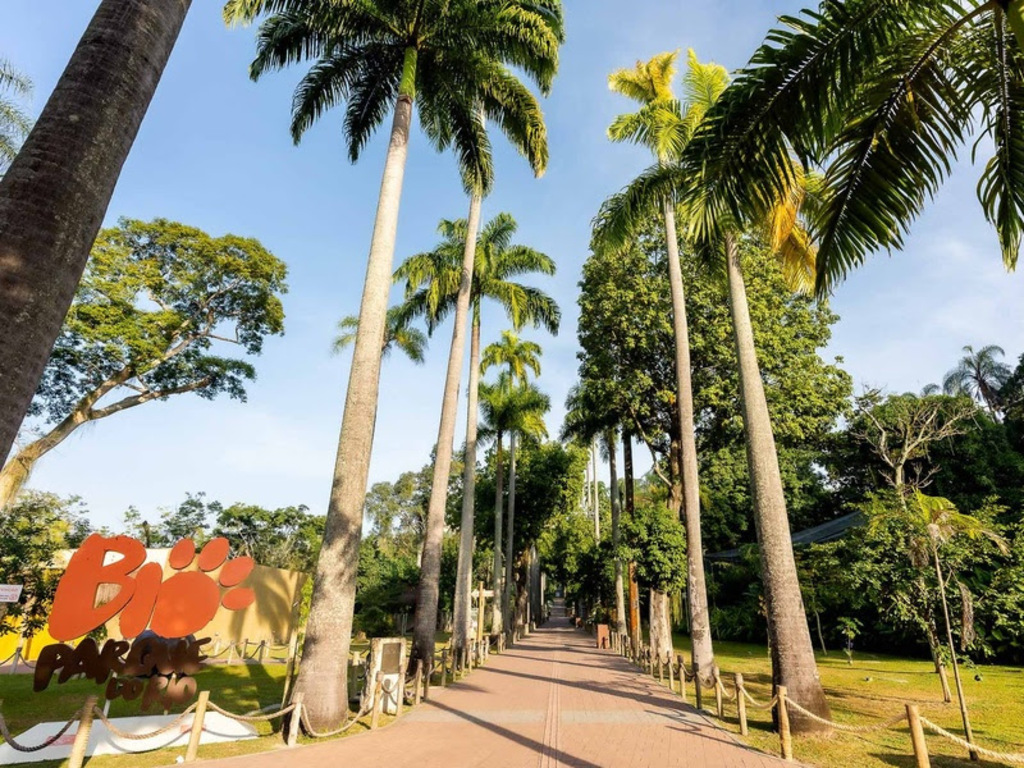 BioParque do Rio tem programação especial de 11 a 14 de dezembro com Papai Noel e atividades educativas