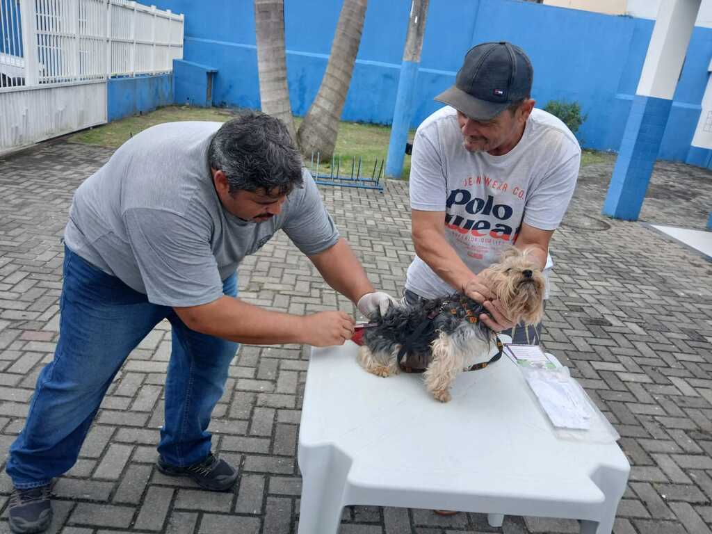 Vacinação Antirrábica Animal em Rio das Ostras chega à 3ª Etapa
