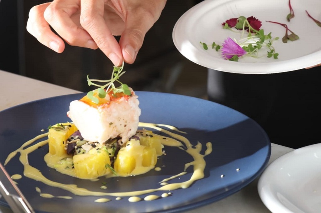 14º Festival Macaé Gastronomia e Cultura celebra sabores e memórias históricas