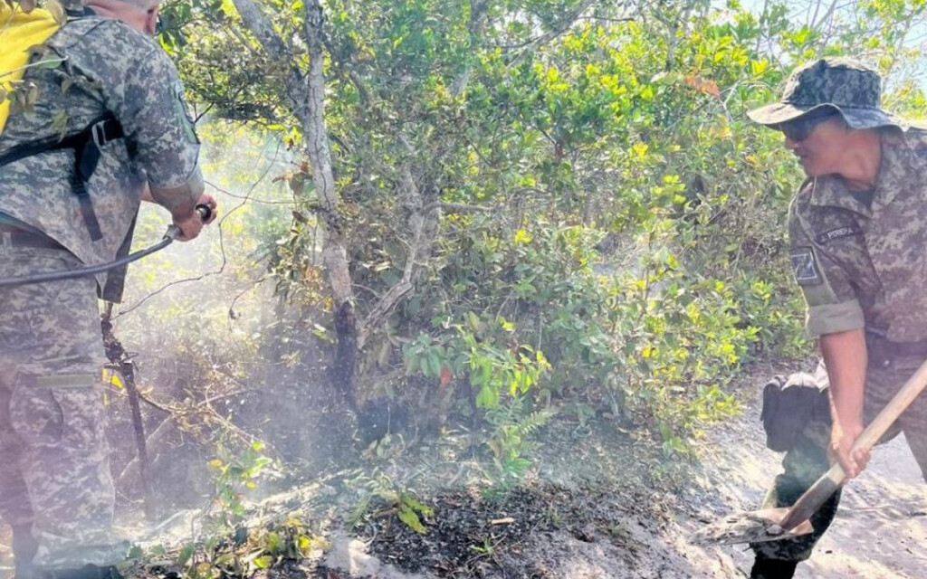 Fogo contido a tempo salva área ambiental em Rio das Ostras