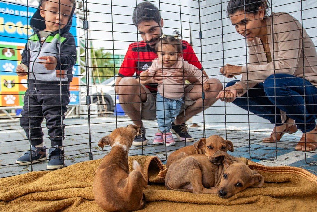 Shopping Plaza Macaé promove nova edição da Feira de Adoção de Animais neste sábado (20)